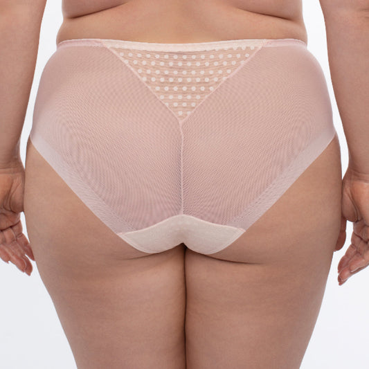 Samanta Donna Powder Rose Sheer Mesh Tulle Embroidered Brief Panty