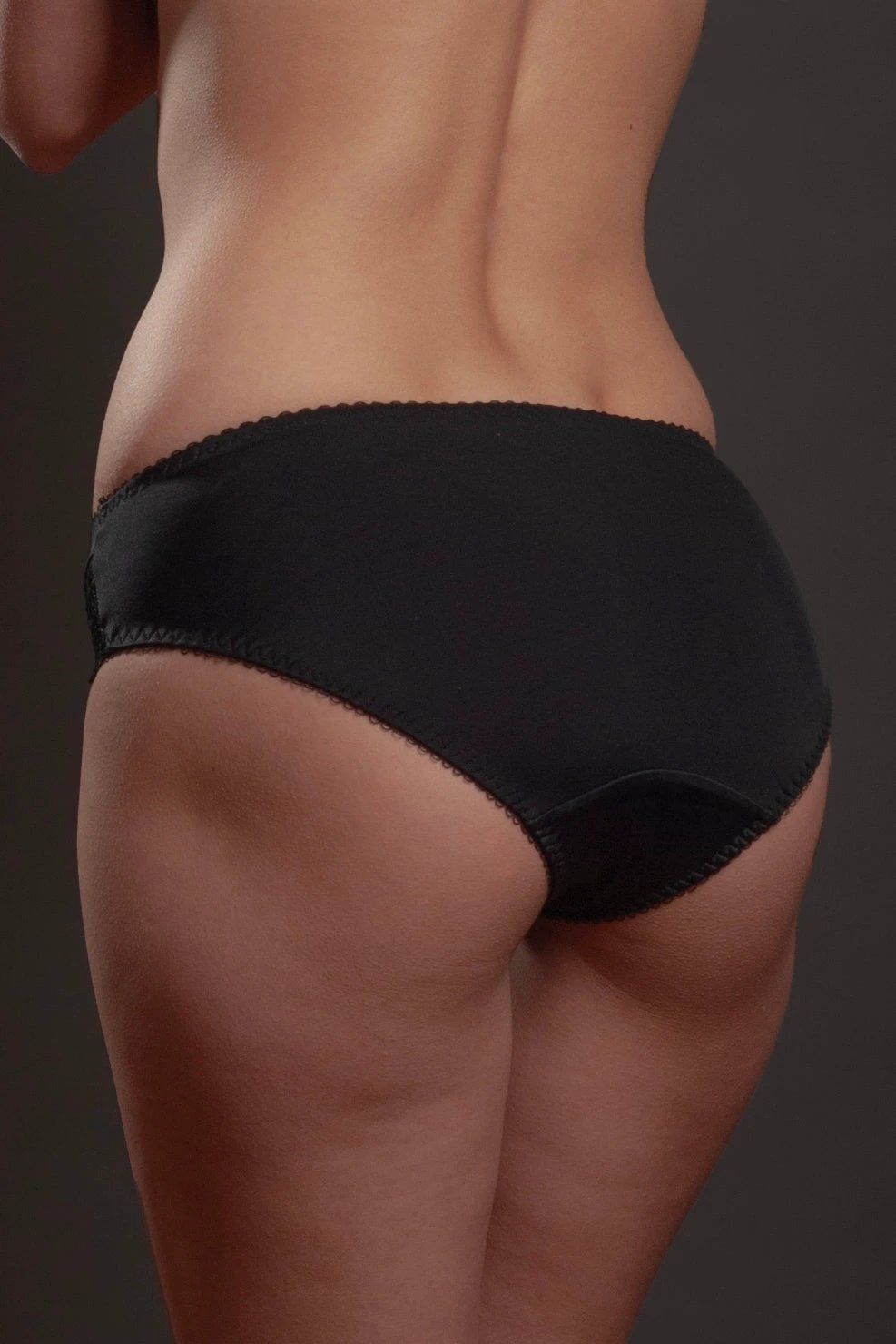 Sheer Mesh Lace Trim Bikini Panty Lavinia Silver Feathers by Lavinia