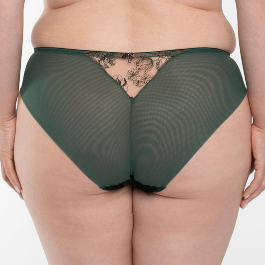 Samanta Ola Malachite Velvet Sheer Embroidered Brief Panty