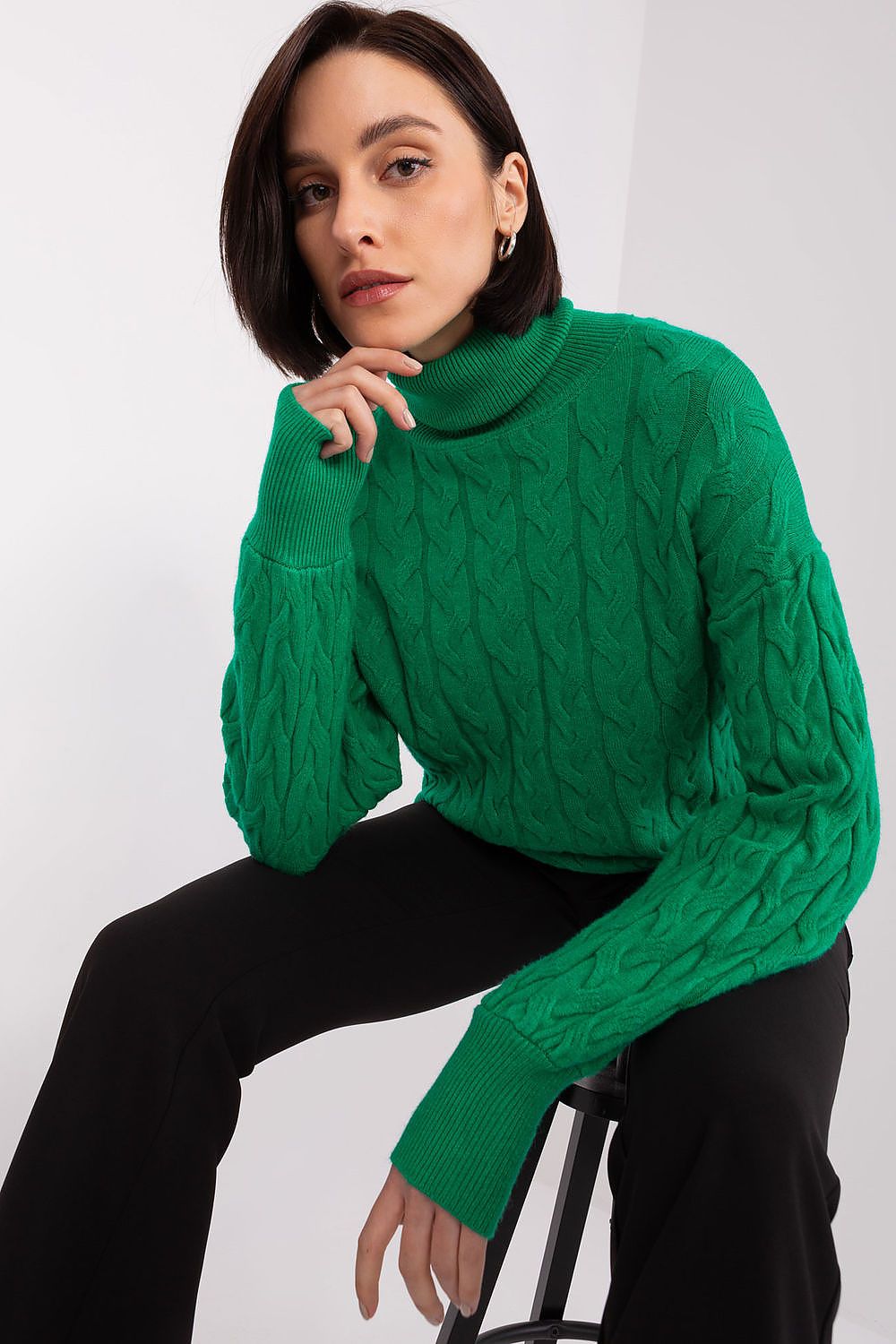 Turtleneck model 188297 AT