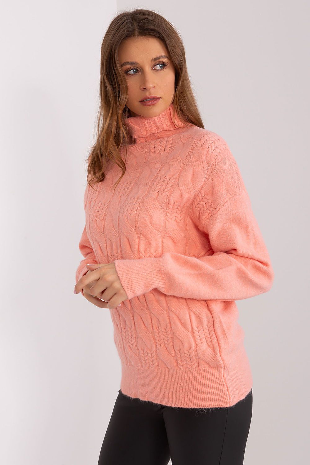 Turtleneck model 189890 AT