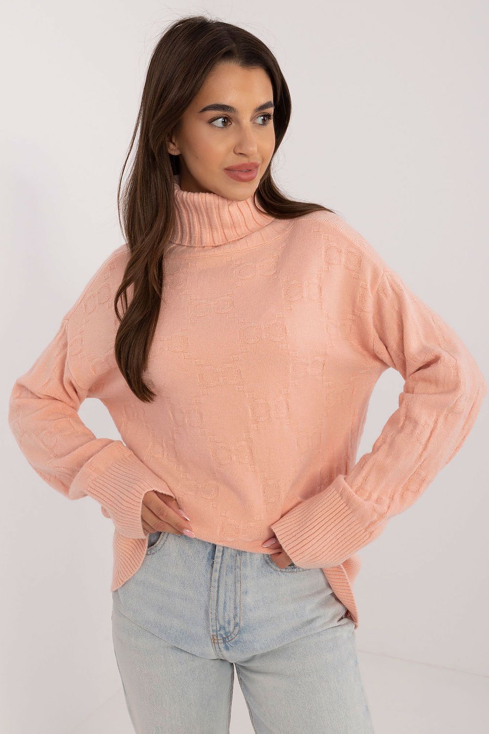 Turtleneck model 208280 AT