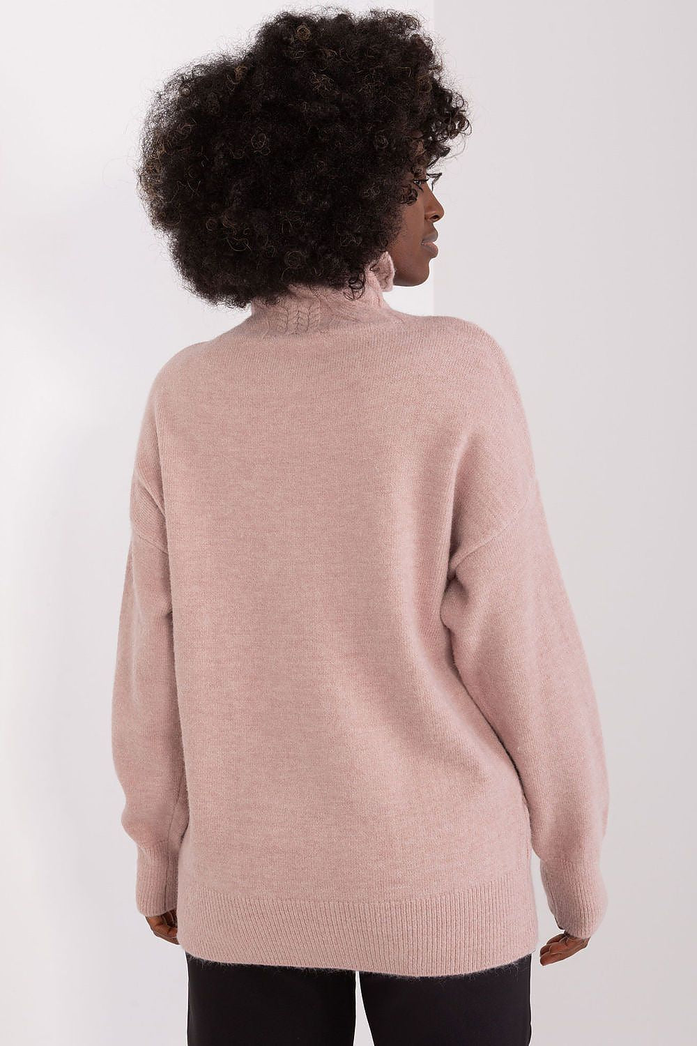 Turtleneck model 208311 AT