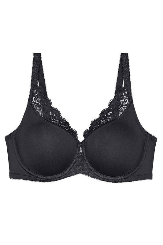 Soft model 229882 Triumph