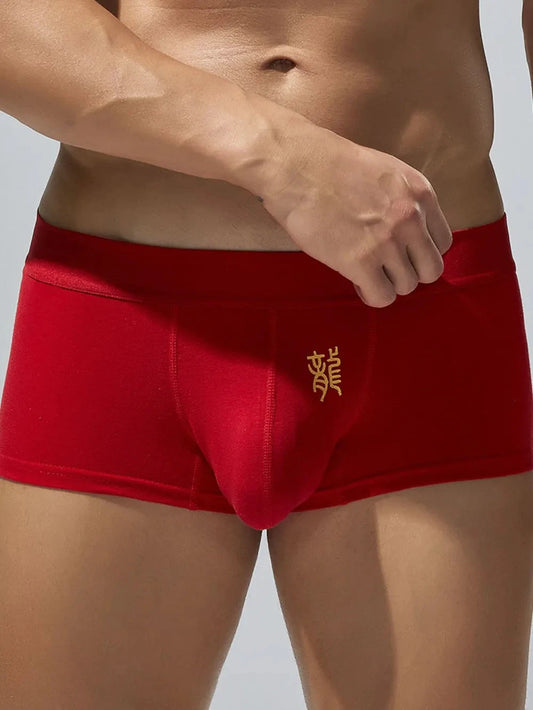 Men's Elastic Panty by Trendsi