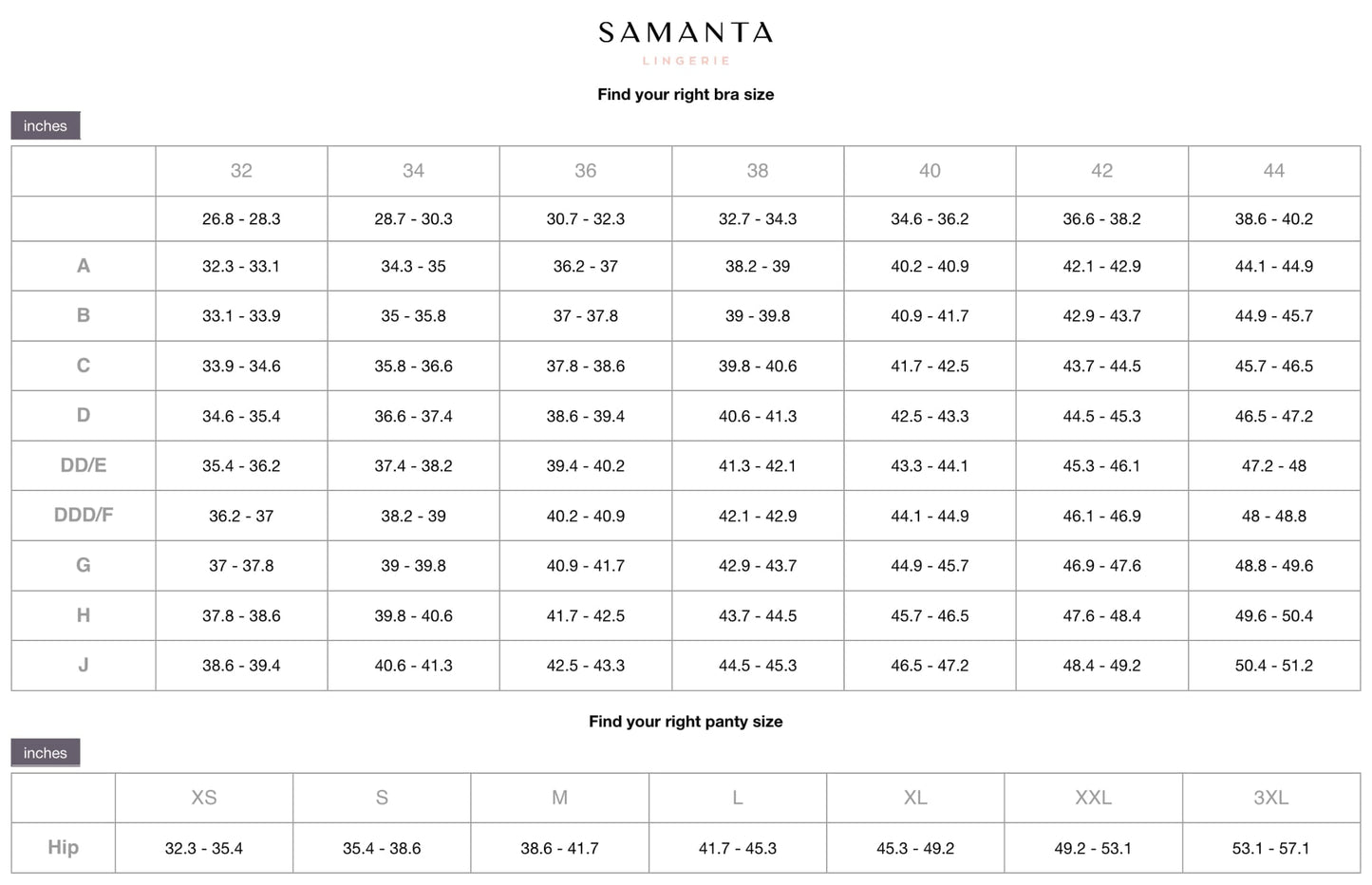 Samanta Perla Coral Sheer Mesh Tulle Embroidered Brief Panty