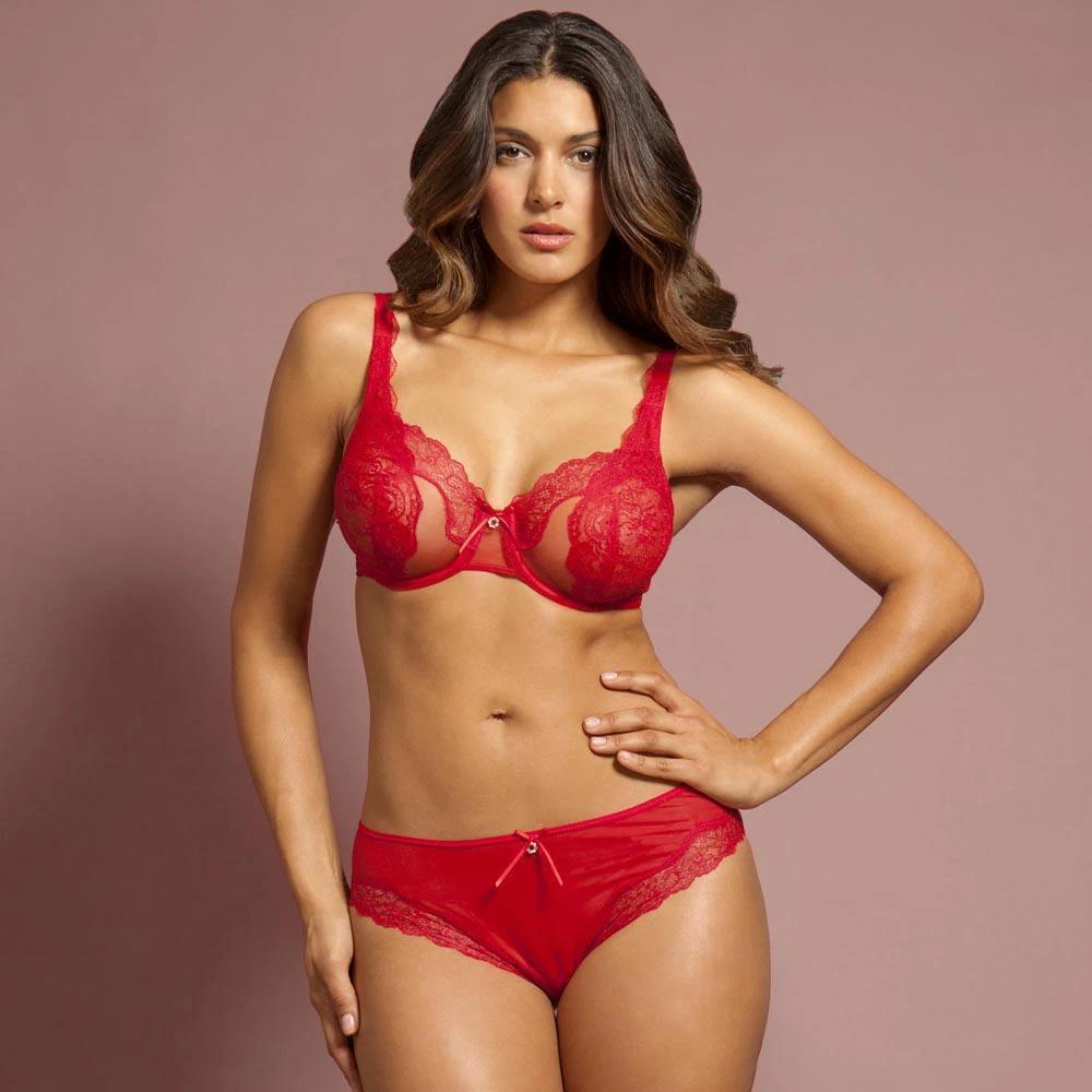 Sheer Lace Bikini Panty Lunaire Ashley by Lunaire Lingerie