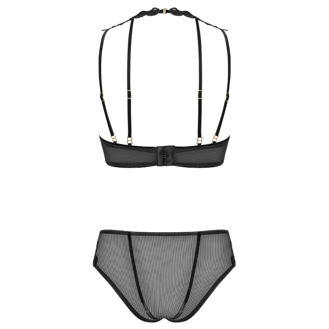 Sexy Sheer Demi Bra & Mesh Bikini Panty Set Majesty by NOIR HANDMADE