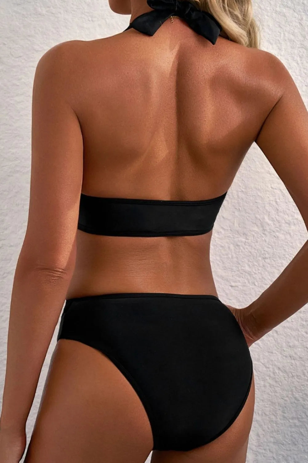 Sheer Mesh Edged Halter V Neck Push Up Bikini Set by Trendsi