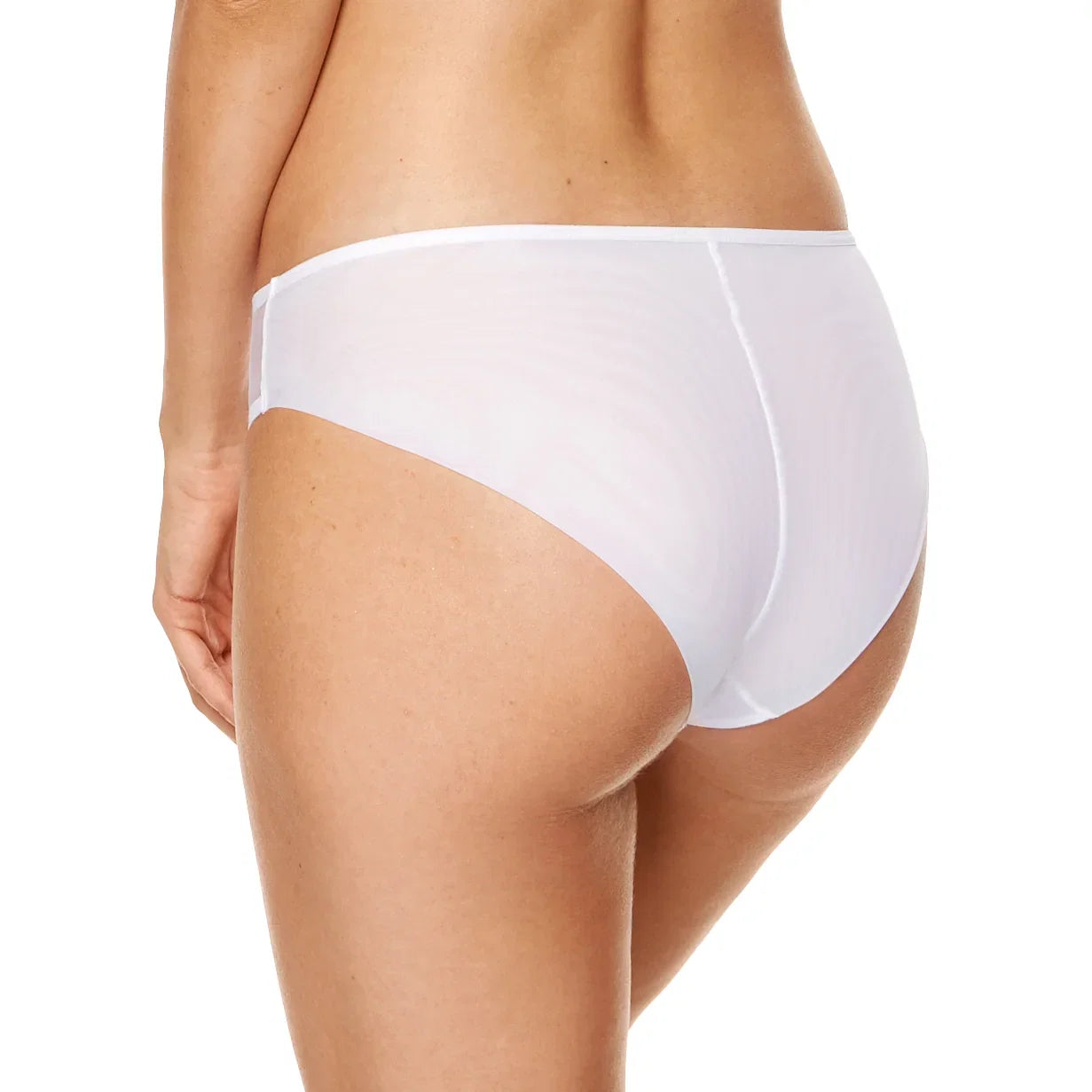 Gorteks Angel Sheer Mesh Embroidery Bikini Panty