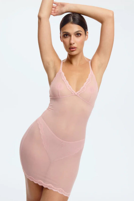 Blush Lotus Rosewater Sheer Mesh Lace Trim Slip Dress