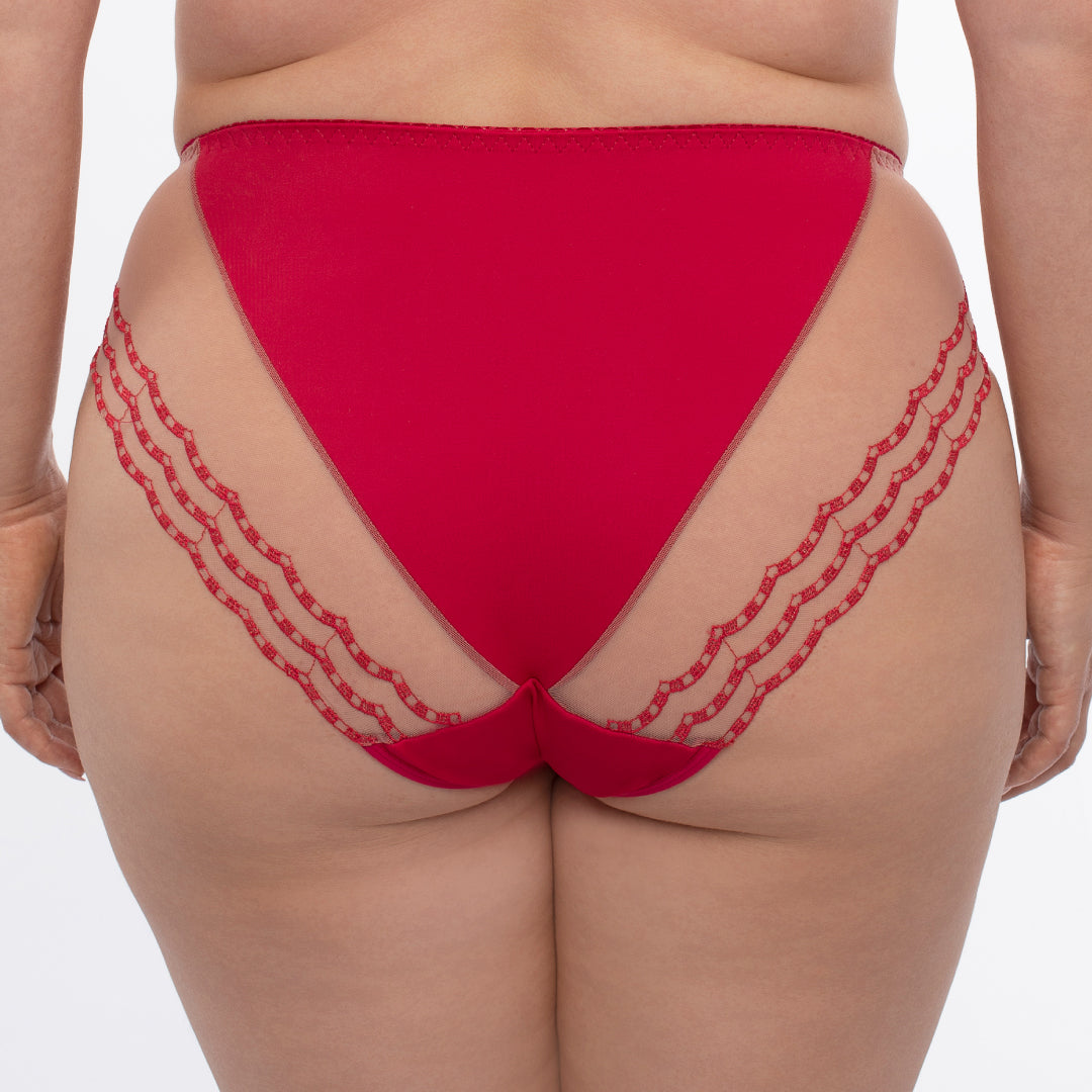 Samanta Daniela Red Sheer Mesh Tulle Embroidered Bikini Panty