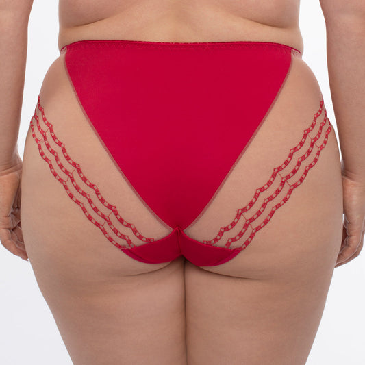 Samanta Daniela Red Sheer Mesh Tulle Embroidered Bikini Panty