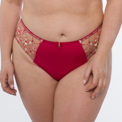 Samanta Daniela Red Sheer Mesh Tulle Embroidered Bikini Panty
