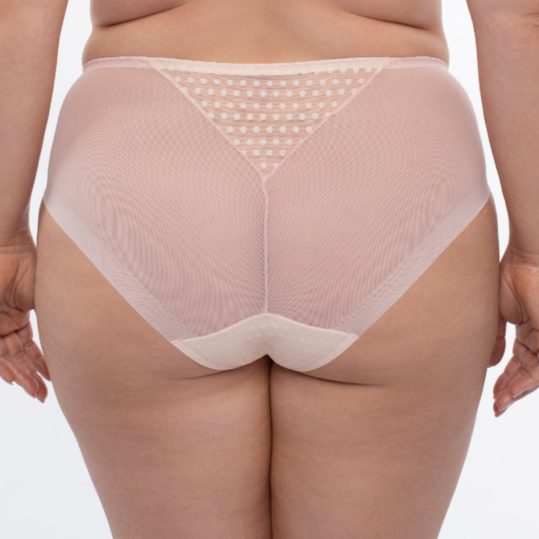 Samanta Donna Powder Rose Sheer Mesh Tulle Embroidered Brief Panty
