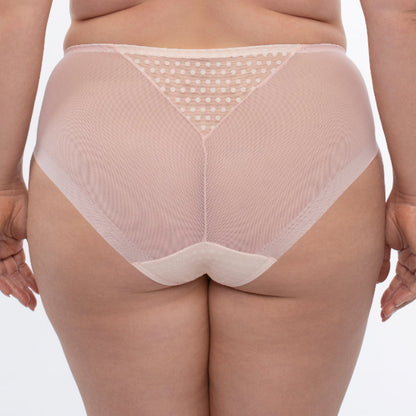 Samanta Donna Powder Rose Sheer Mesh Tulle Embroidered Brief Panty