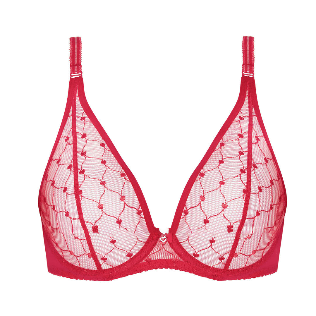 Gorteks Euphoria Soft Sheer Mesh Plunge Bra