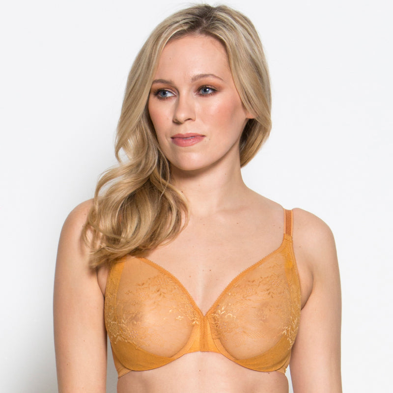 Gossard Glossies Lace Spiced Honey Sheer Molded Bra