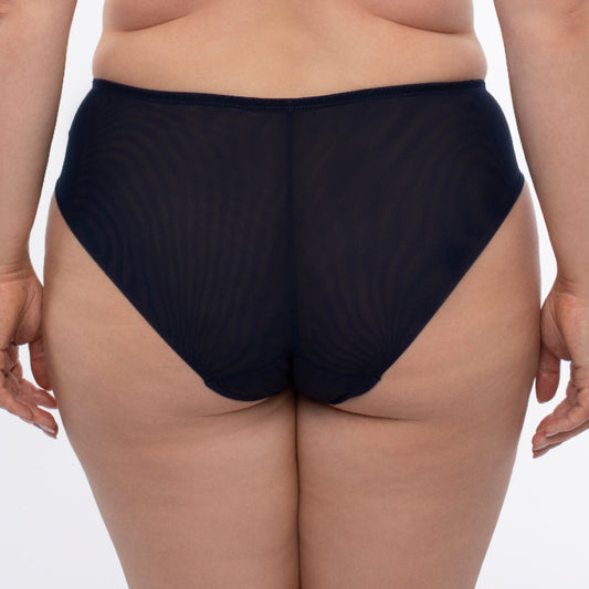Samanta Hazel Navy Sheer Mesh Tulle Embroidered Brief Panty-1