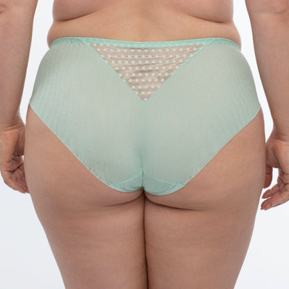Samanta Juno Mint Sheer Mesh Tulle Embroidered Bikini Panty