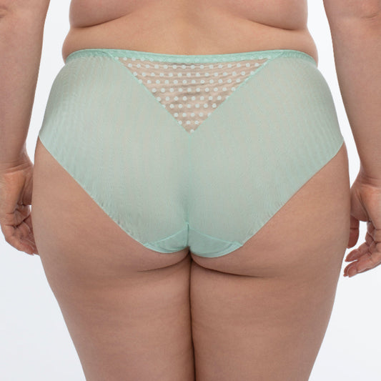 Samanta Juno Mint Sheer Mesh Tulle Embroidered Bikini Panty