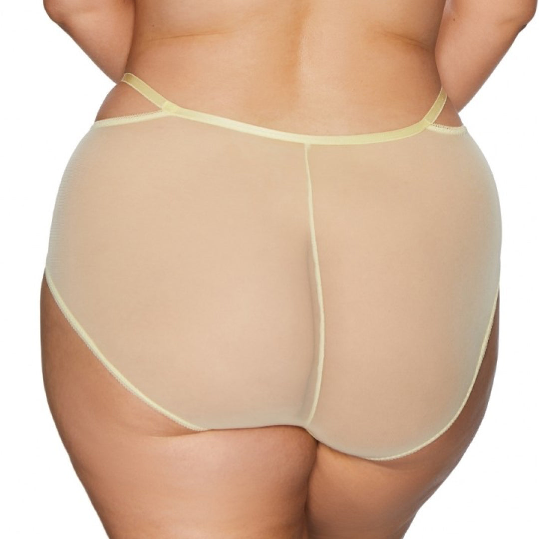 Kinga Forget Me Not Soft High Waist Tulle Brief Panty