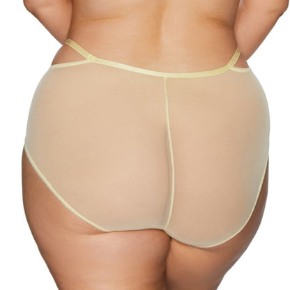 Kinga Forget Me Not Soft High Waist Tulle Brief Panty