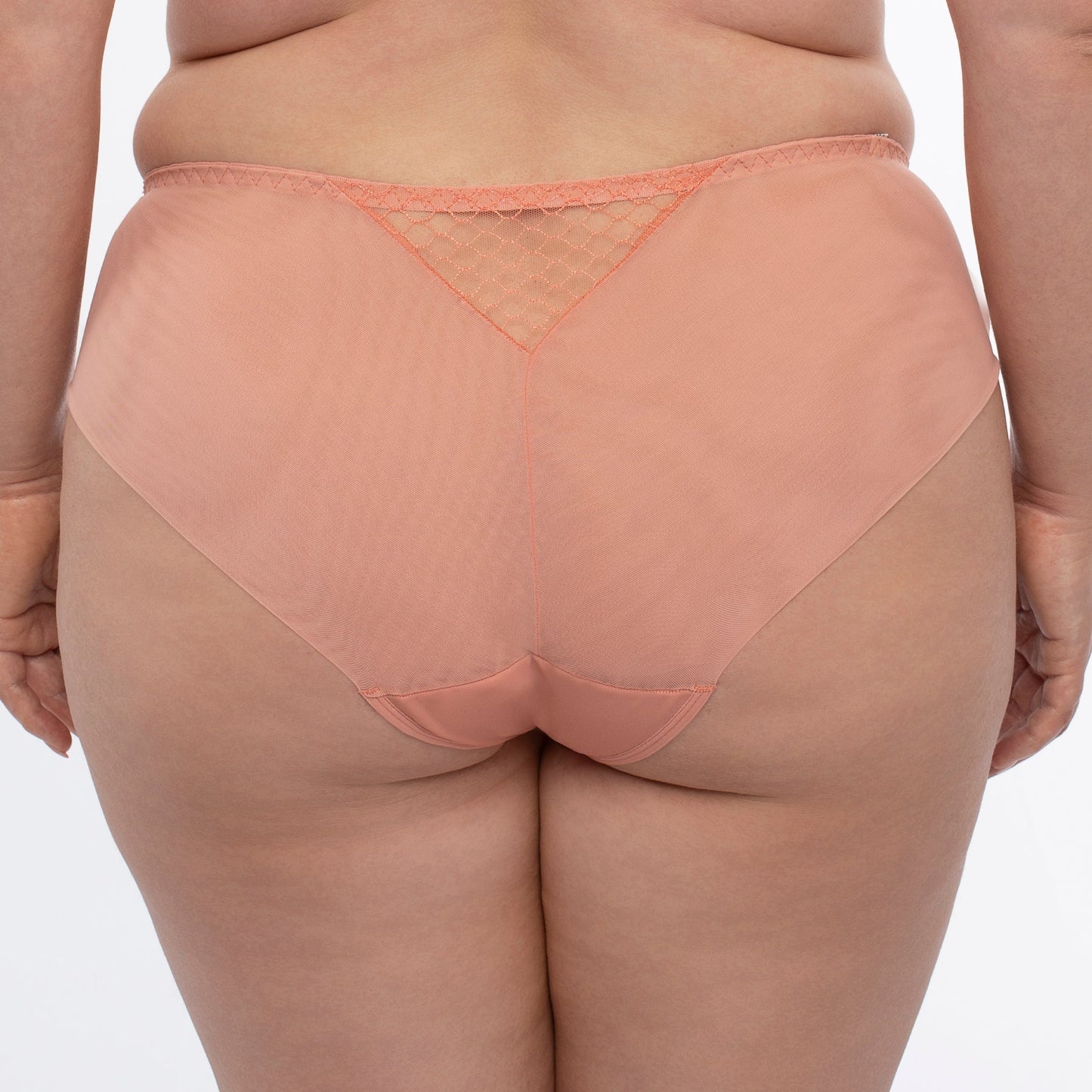 Samanta Lea Apricot Sheer Mesh Tulle Bikini Panty