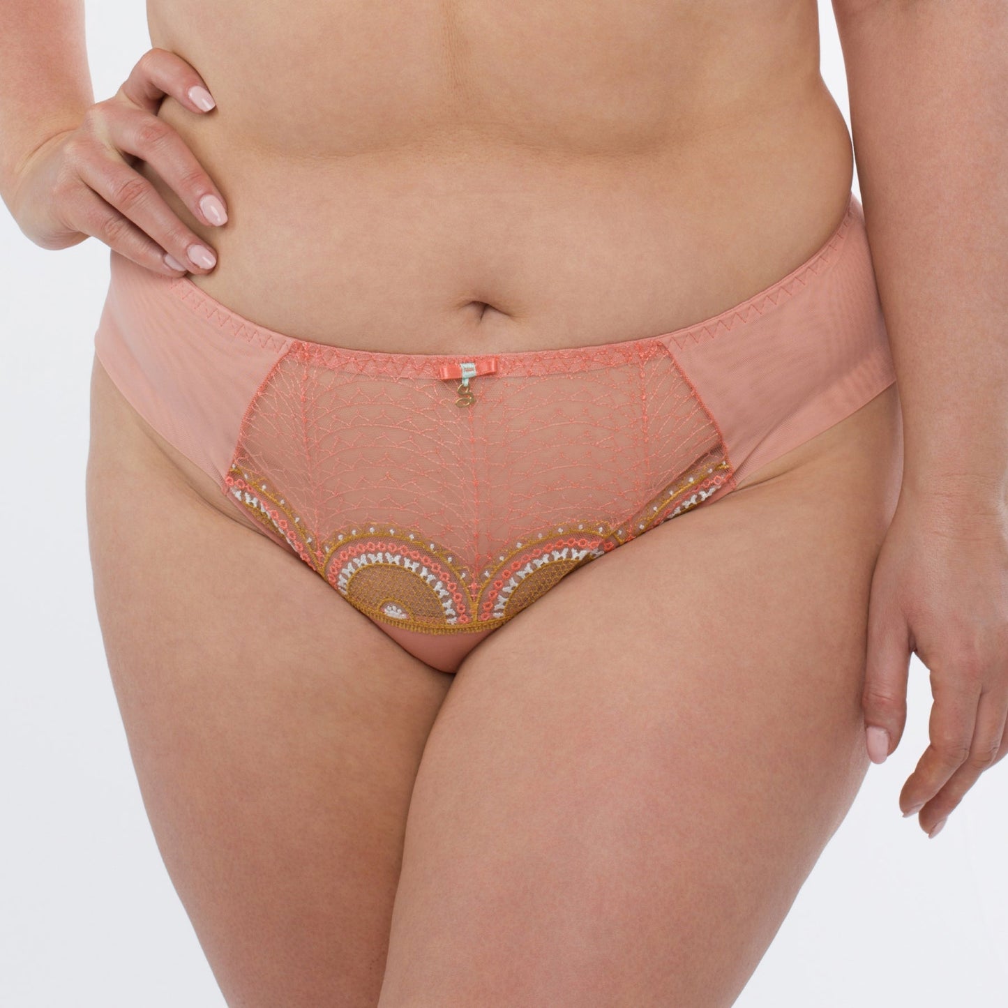 Samanta Lea Apricot Sheer Mesh Tulle Bikini Panty