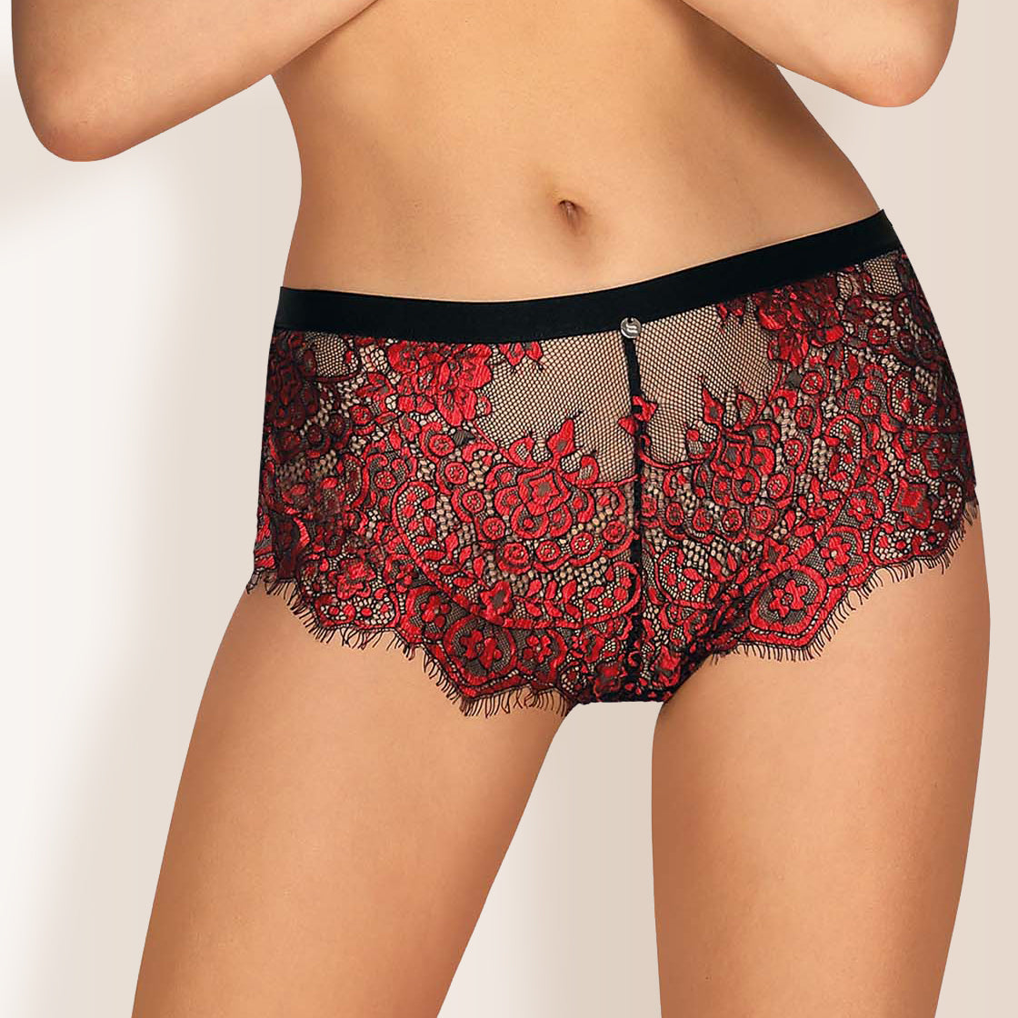 Obsessive Redessia Sheer Seductive Lace Shorties Panty