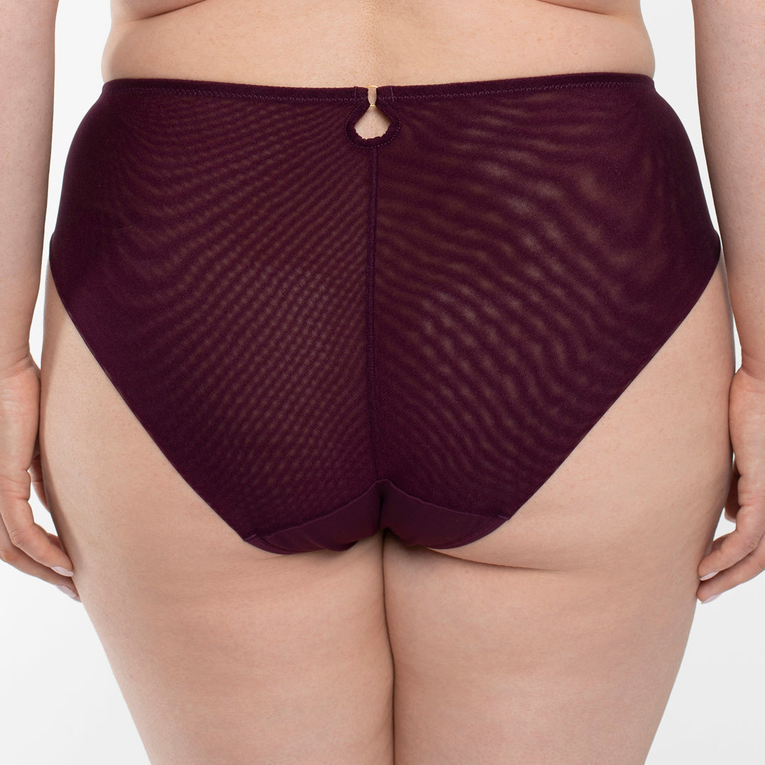 Samanta Perla Aubergine Sheer Mesh Tulle Embroidered Brief Panty