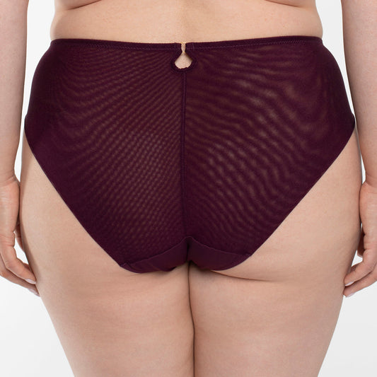 Samanta Perla Aubergine Sheer Mesh Tulle Embroidered Brief Panty