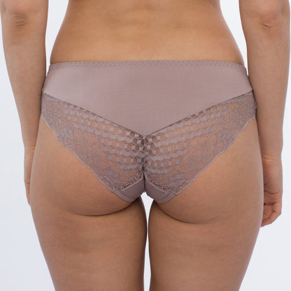Samanta Rosalia Latte Sheer Mesh Tulle Lace Brief Panty