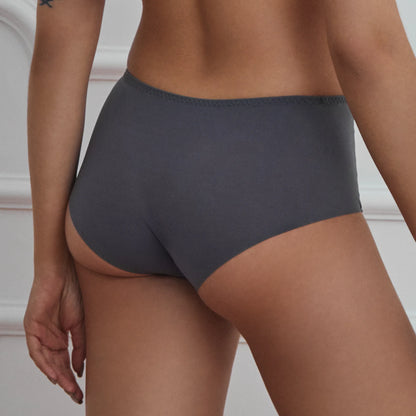 Semi Sheer Mesh Maxi Brief Panty Sharon