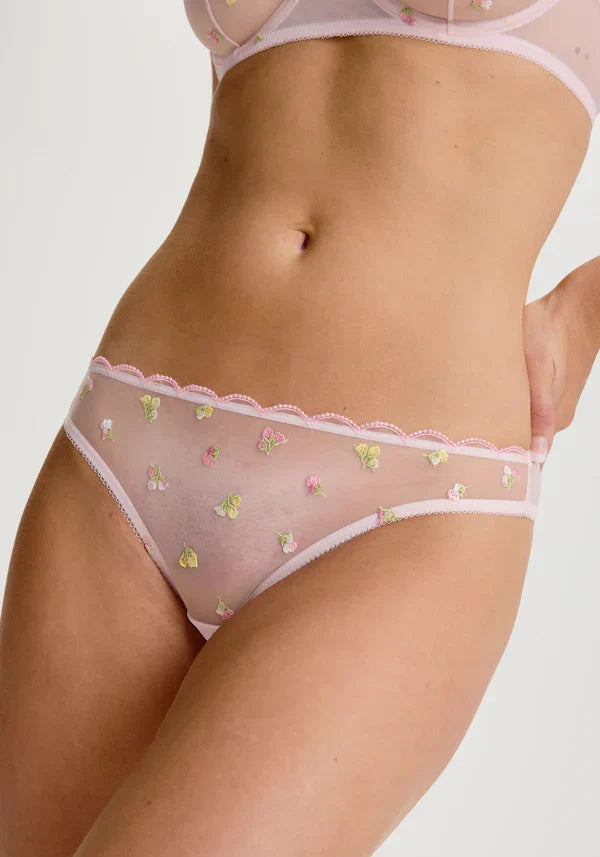 Blush Roseline Sheer Mesh Peek-A-Boo Bikini Panty