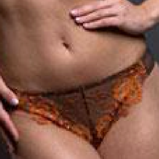 Sheer French Cut Thong Panty Lavinia Wildfire