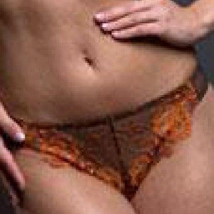 Sheer French Cut Thong Panty Lavinia Wildfire