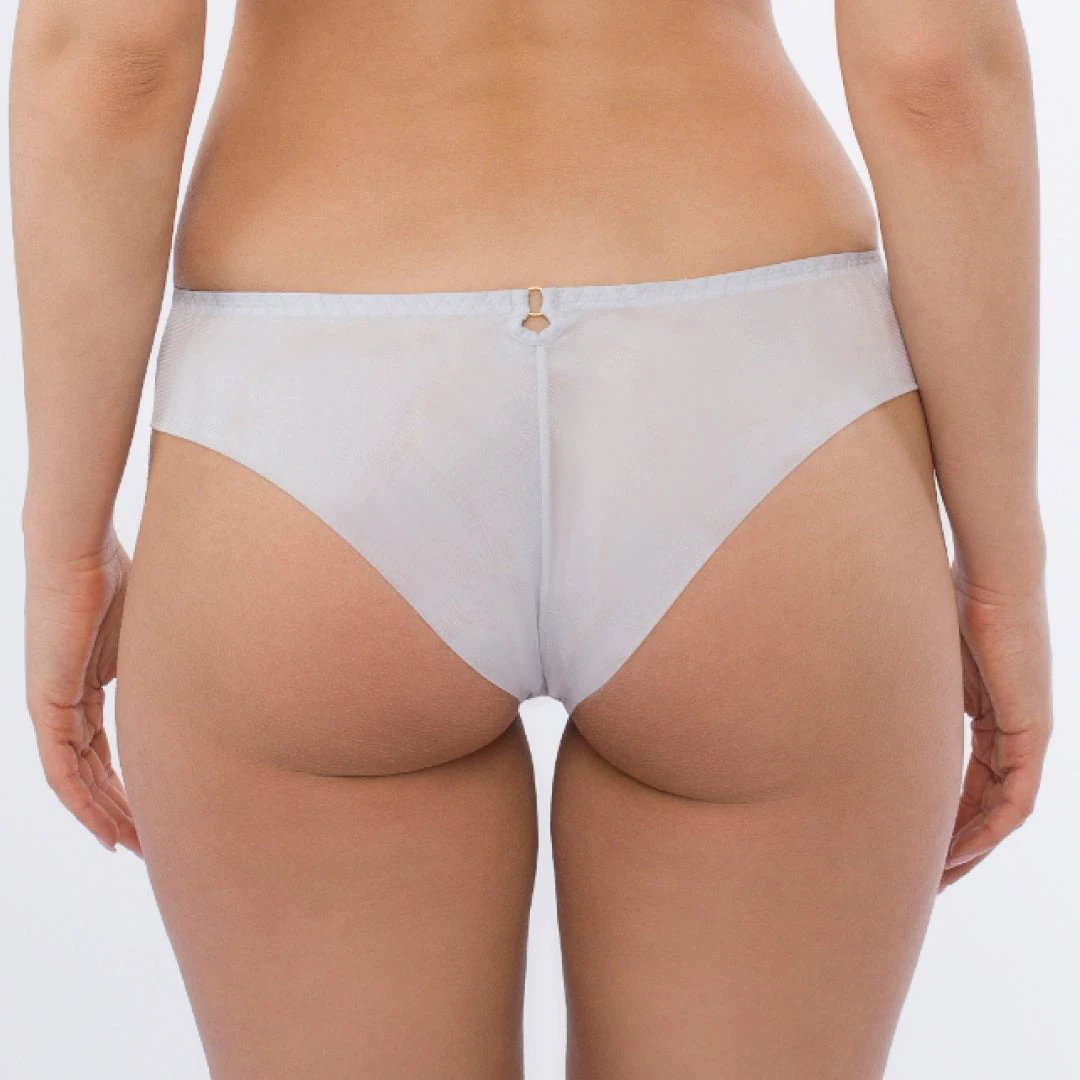 Sheer Mesh Tulle Embroidered Tanga Panty Sweet by Samanta Lingerie