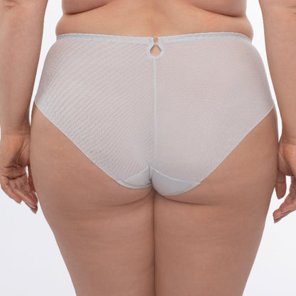 Samanta Sweet Gray Sheer Mesh Tulle Embroidered Brief Panty