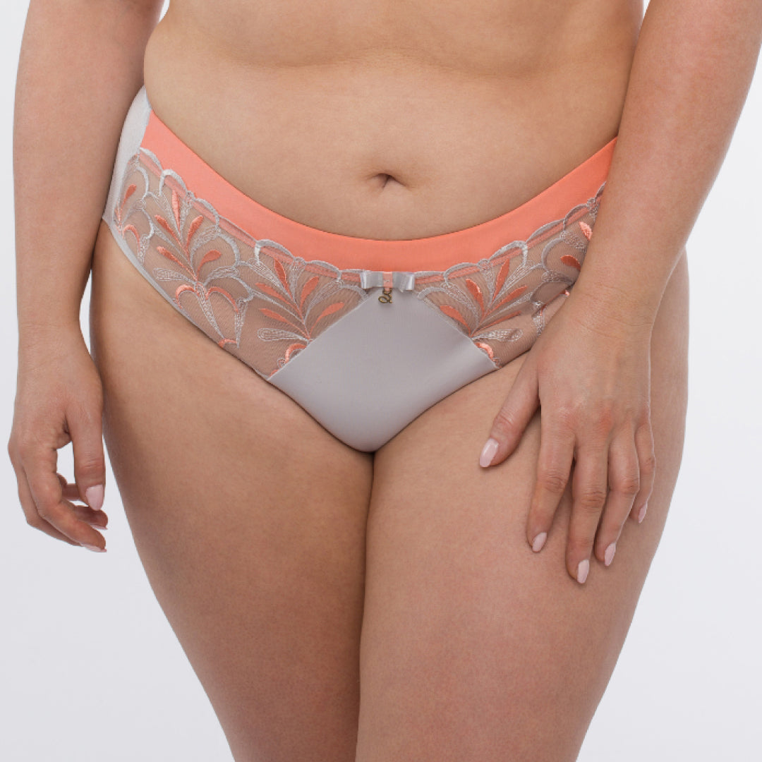 Samanta Sweet Gray Sheer Mesh Tulle Embroidered Brief Panty