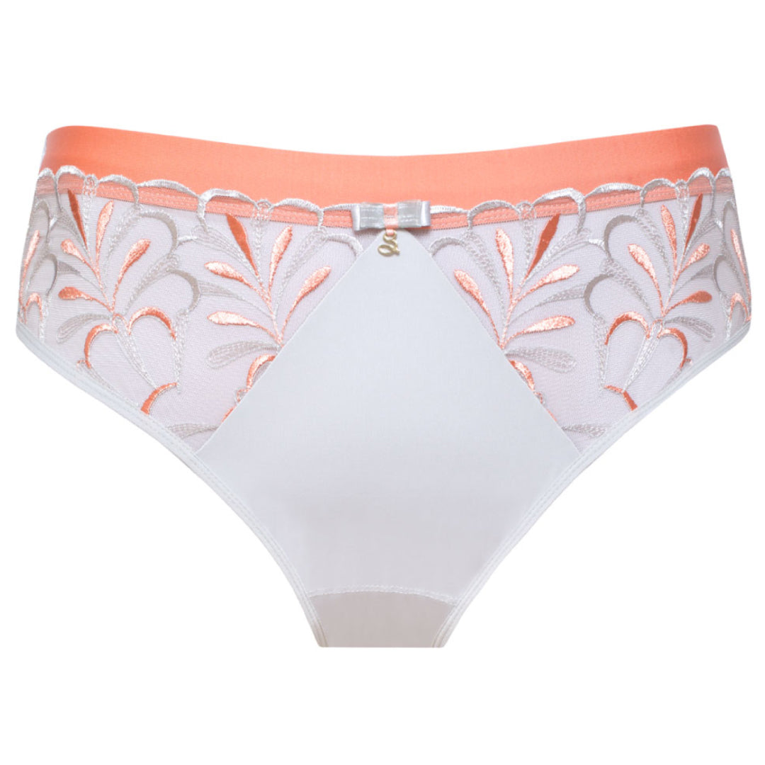 Samanta Sweet Gray Sheer Mesh Tulle Embroidered Brief Panty