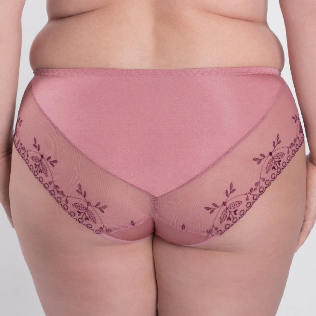 Sheer Mesh Tulle Embroidered Brief Panty Viola by Samanta Lingerie