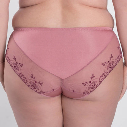 Sheer Mesh Tulle Embroidered Brief Panty Viola by Samanta Lingerie