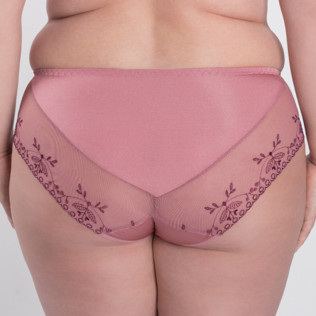 Samanta Viola Rose Sheer Mesh Tulle Embroidered Brief Panty