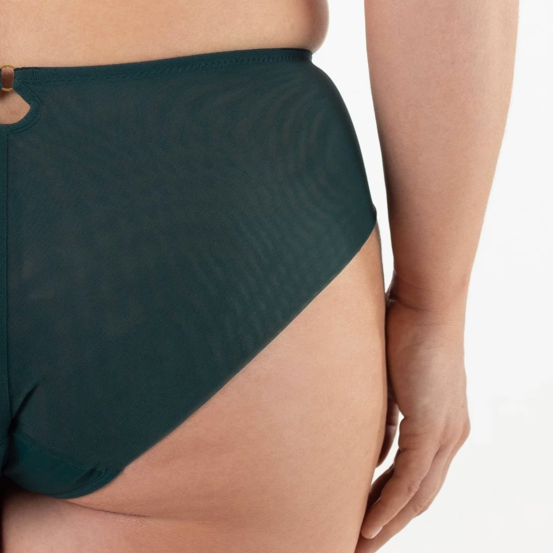 Samanta Boobie Emerald Sheer Mesh Tulle Embroidered Brief Panty