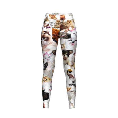 I Like Cats and So Do You Leggings