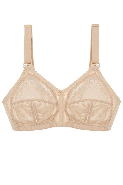  Soft model 229866 Triumph 
