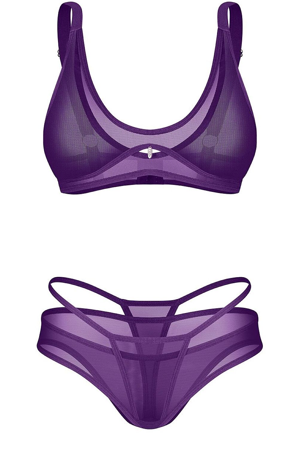 Violet Reverie Mesh Bra & Panty Set — product photograph