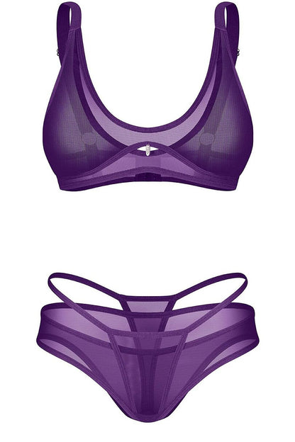 Violet Reverie Mesh Bra & Panty Set — product photograph