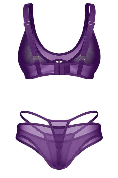 Violet Reverie Mesh Bra & Panty Set — product photograph